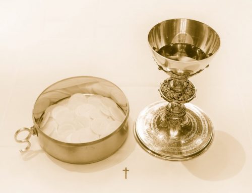 Celebrate The Most Holy Body & Blood of Christ